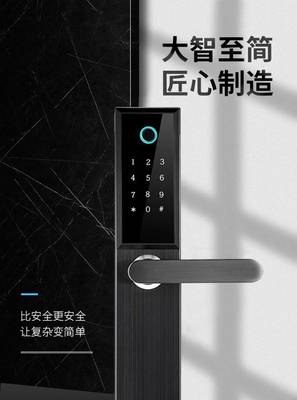智能门锁标准锁体活体指纹识别密码锁电子锁家用室内防盗门手机NFC开锁